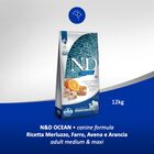 N&D Farmina Ocean Dog Adult Medium & Maxi Merluzzo, Farro, Avena & Arancia 12 kg