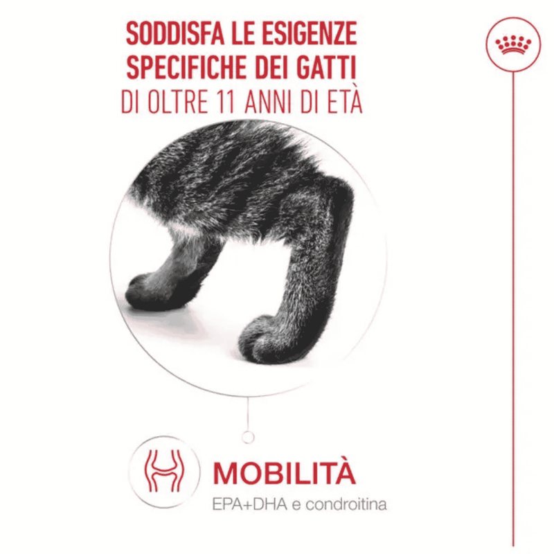 Royal Canin Cat Senior 11+ anni Airlift Mousse 85gr