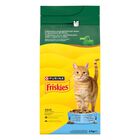 Friskies Cat Adult Mix con Salmone e Verdure 2 kg