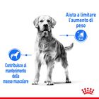 Royal Canin Dog Adult Maxi Light Weight Care 12 kg