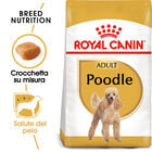 Royal Canin Dog Adult e Senior Barboncino 1,5 kg