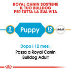 Royal Canin Dog Puppy Bulldog 12 kg