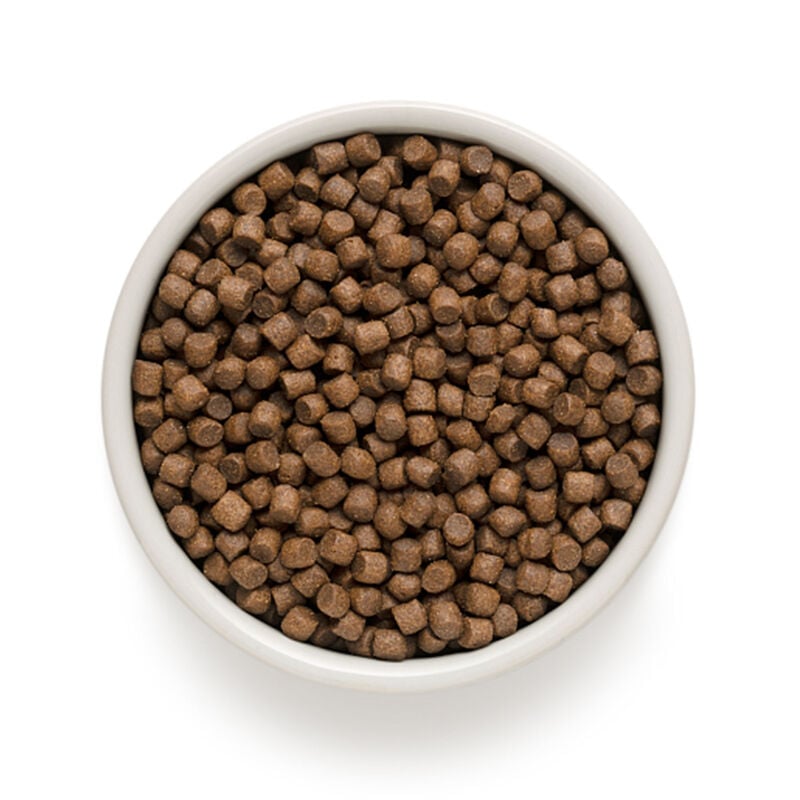 Grandorf Dog Adult Mini Agnello Tacchino 1Kg