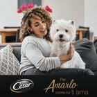 Cesar Dog Senior VS Vitello e Riso 150 gr