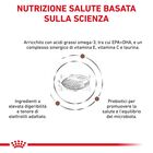 Royal Canin Veterinary Diet Dog Adult Small Gastrointestinal Low Fat 3,5 kg
