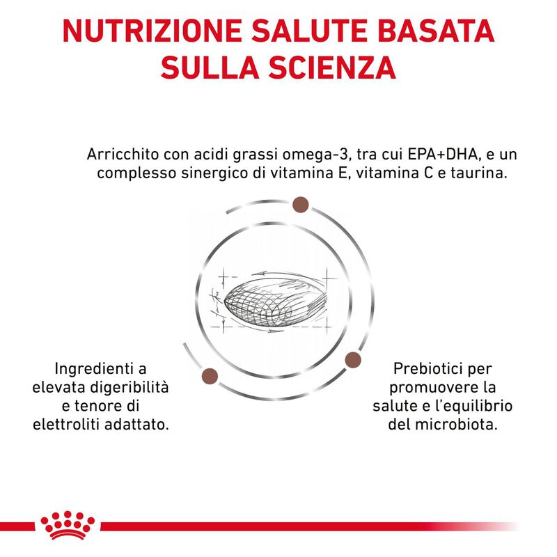 Royal Canin Veterinary Diet Dog Adult Small Gastrointestinal Low Fat 3,5 kg