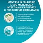 Purina One Bifensis Cat Sterilised Salmone e Frumento 800 gr