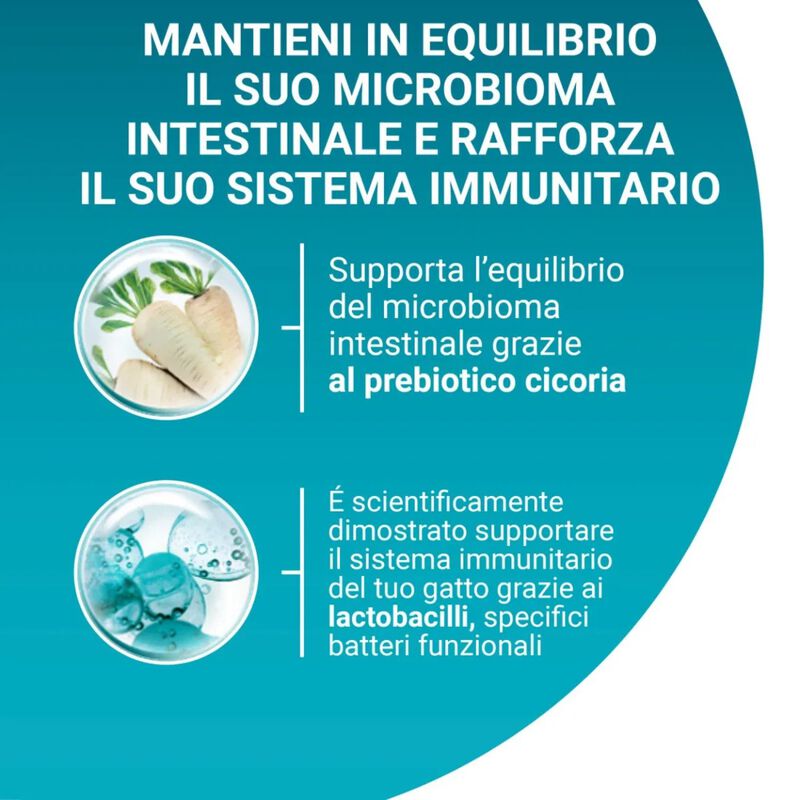Purina One Bifensis Cat Sterilised Salmone e Frumento 800 gr