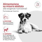 Royal Canin Veterinary Diet Small Dog Adult Glycobalance 4 kg