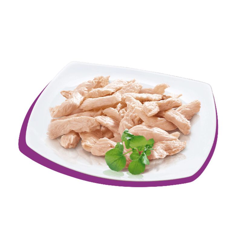 Petreet Cat 100% monoproteico Pollo 60 gr