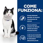 Hill's Prescription Diet Cat i/d Digestive Care con Salmone 85 gr