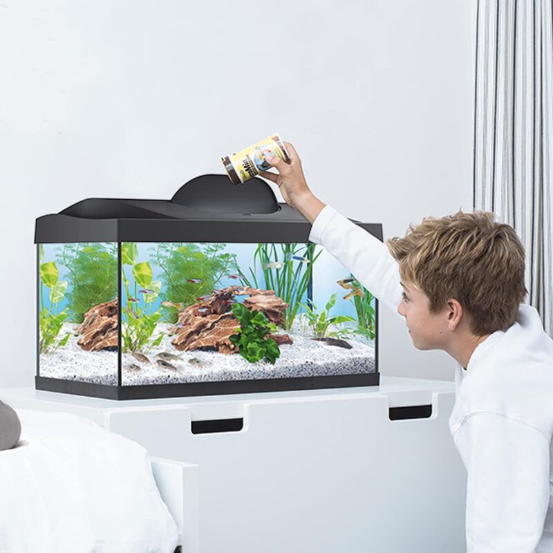 Tetra Starter Line Led 30 l