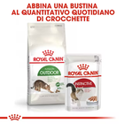 Royal Canin Cat Adult Outdoor 400 gr