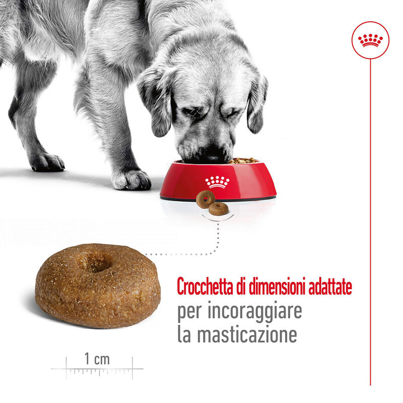 Royal Canin Dog Maxi Health Nutrition +8 anni Ageing 15kg