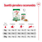Royal Canin Dog Mini Adult +8 anni 2 kg