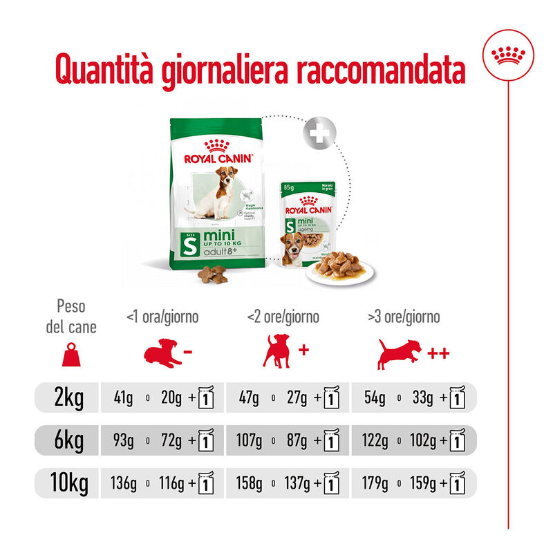Royal Canin Dog Mini Adult +8 anni 2 kg