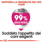 Royal Canin Dog Mini Adult e Senior Exigent 1 kg - Scad 23 Ottobre 2026