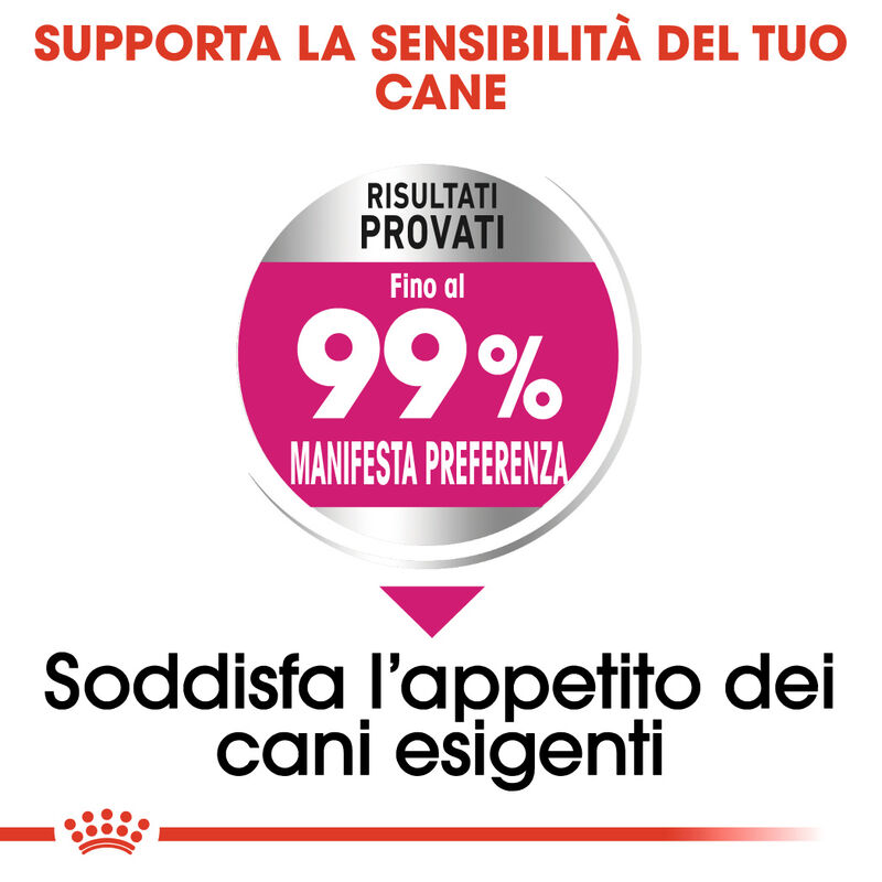 Royal Canin Dog Mini Adult e Senior Exigent 1 kg - Scad 23 Ottobre 2026