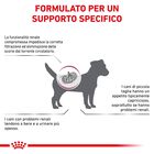 Royal Canin Veterinary Diet Dog Small Renal 500gr