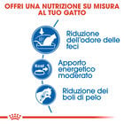 Royal Canin Cat Adult Indoor 27 400 gr