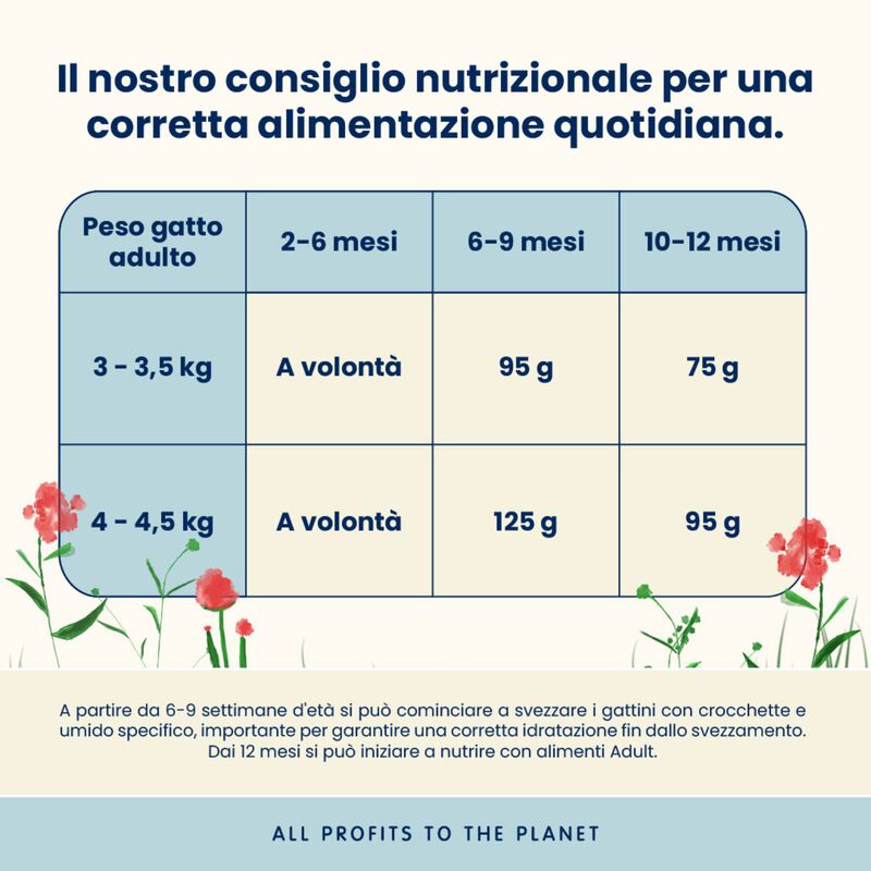Almo Nature Kitten con Pollo 400 gr