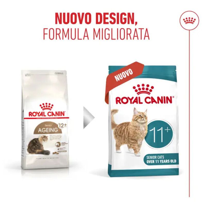 Royal Canin Cat Senior Ageing +11 anni 2 kg