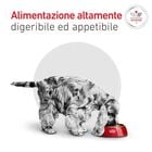 Royal Canin Veterinary Diet Small Dog Adult Glycobalance 4 kg