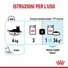 Royal Canin Cat Adult Sensory Feel Jelly 85 gr