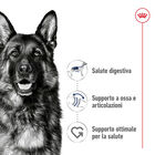 Royal Canin Dog Maxi Adult 15 kg 