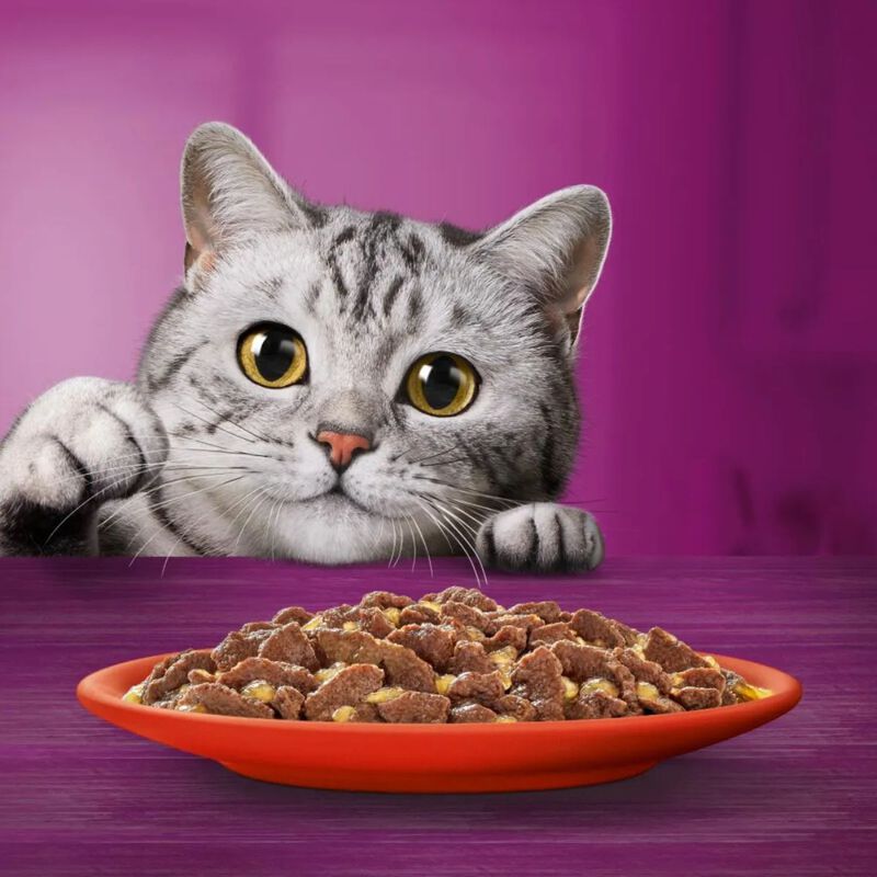 Whiskas Pranzetti Carni Miste in Salsa con Manzo e Agnello 6 x 50 gr