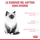 Royal Canin Cat Kitten 400 gr