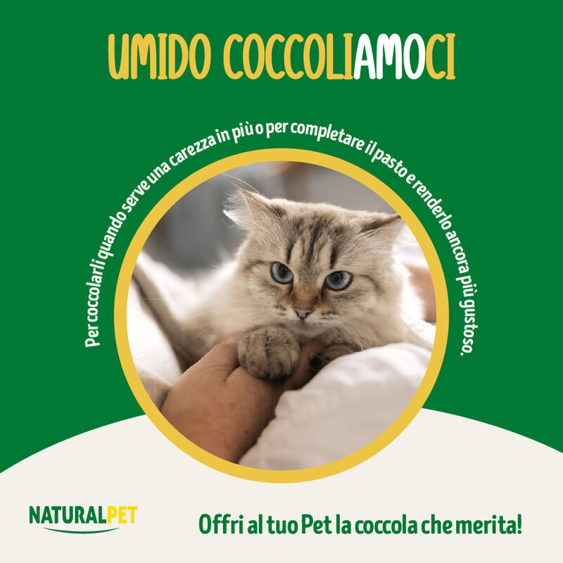 Naturalpet Cat Adult Zuppa Pollo 70 g