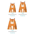 Petreet Cat Adult Vellutata di Pollo con fegatini A84 70 gr 