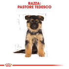 Royal Canin Dog Puppy German Shepherd 3 kg