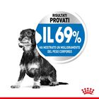 Royal Canin Dog Adult X-Small Light Weight Care 1,5 kg