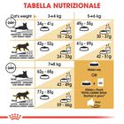 Royal Canin Cat Adult British Shorthair 2 kg