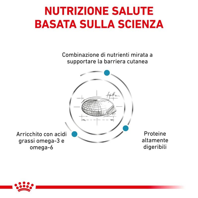 Royal Canin Veterinary Diet Dog Skin Care 11 kg