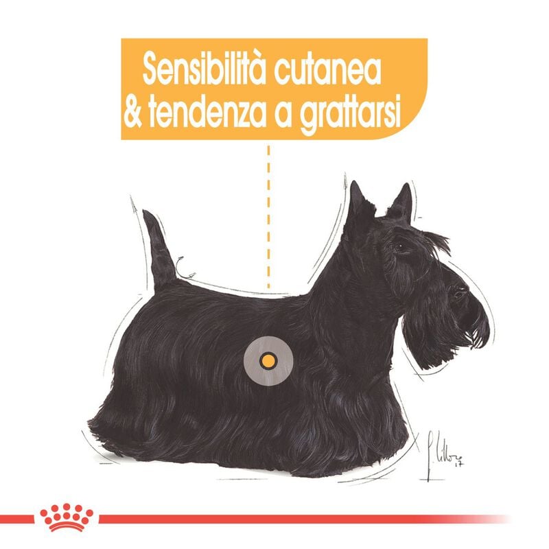 Royal Canin Dog Adult e Senior Mini Dermacomfort 3 kg