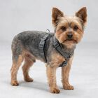 Trixie Premium Pettorina ad H Color Grigio Tg XS-S