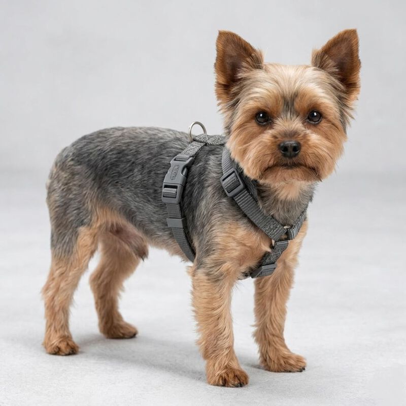 Trixie Premium Pettorina ad H Color Grigio Tg XS-S