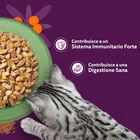 Whiskas Superfood Gatto Adulto Bustine in Gelatina 50 pz x 50 gr