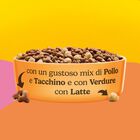 Friskies Cat Junior con Pollo, Tacchino con Latte e Verdure 375 gr