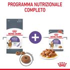 Royal Canin Cat Adult Appetite Control Care Gravy 85 gr