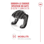 Royal Canin Cat Senior 11+ anni in jelly 85gr