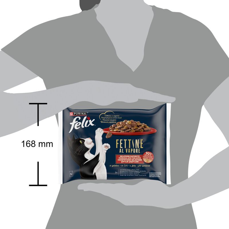 Felix Cat Adult Fettine al vapore Manzo e Pollo 4 pz x 80 gr