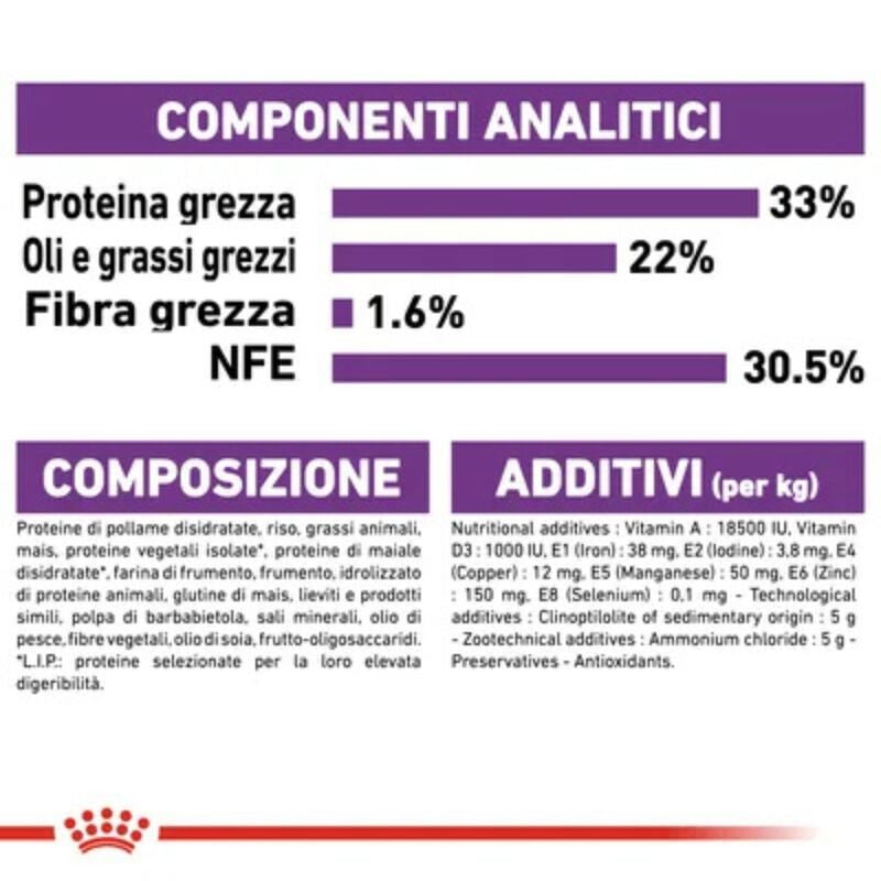 Royal Canin Cat Adult Sensible 33 10 +2 kg omaggio