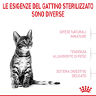 Royal Canin Cat Kitten Sterilised 400 gr