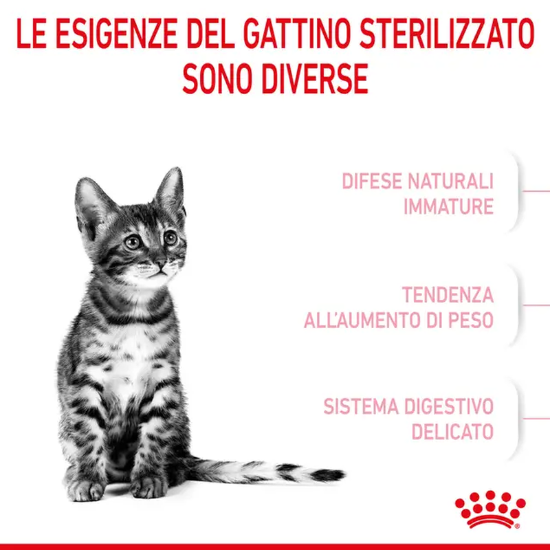 Royal Canin Cat Kitten Sterilised 400 gr