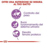 Royal Canin Cat Adult Sterilised 37 10 kg