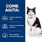 Hill's Prescription Diet Cat y/d Thyroid Care 1,5 kg